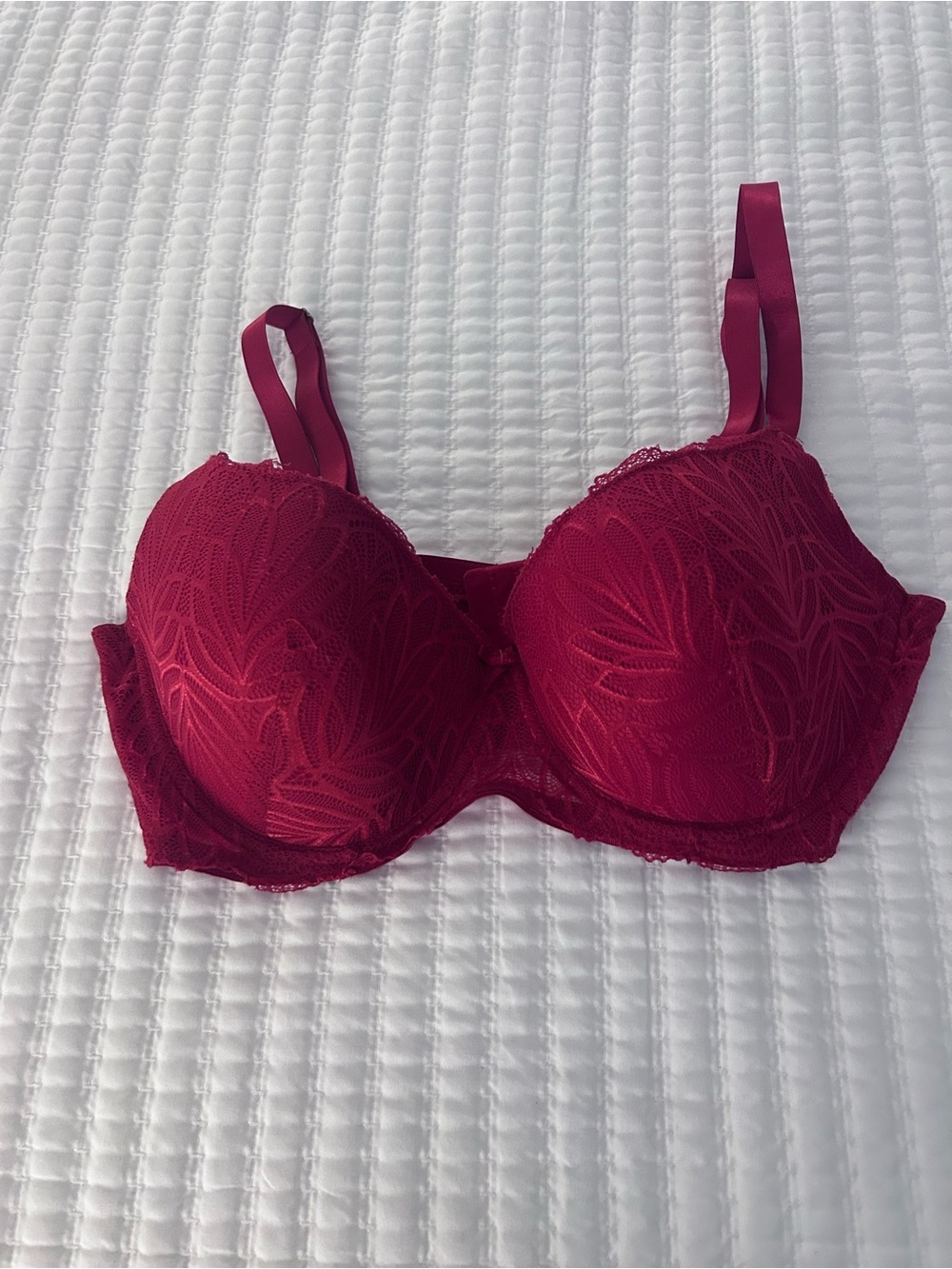 Daisy Fuentes Sculpted Lace Bra in Berry. Size 42D